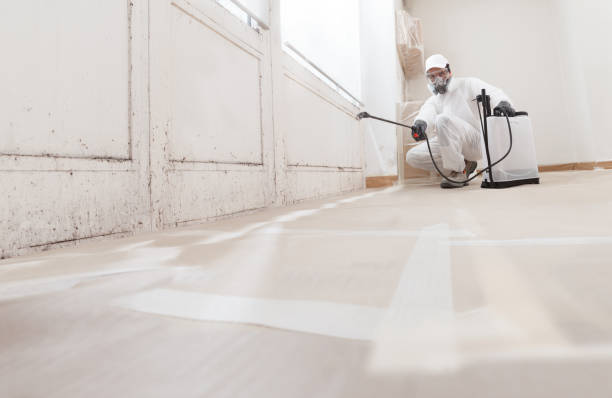 24/7 Emergency Attic Mold Remediation experts in Highspire, PA